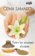 entre las azucenas olvidado (finalista premio digital) (ebook)-gema samaro-9788468731339 entre las azucenas olvidado (finalista premio digital) (ebook)-gema samaro-9788468731339