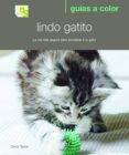 lindo gatito: la via mas segura para socializar a tu gato-david taylor-9788493662639 lindo gatito: la via mas segura para socializar a tu gato-david taylor-9788493662639