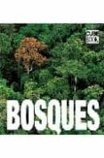 bosques (cube book)-valeria manferto de fabianis-9788496865839 bosques (cube book)-valeria manferto de fabianis-9788496865839