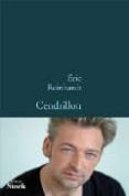 cendrillon-eric reinhardt-9782234058149 cendrillon-eric reinhardt-9782234058149