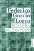 Poeta en Nueva York-11240916-otro-formato