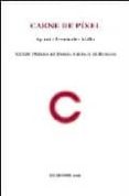 carne de pixel (xxxiv premio de poesia ciudad de burgos)-agustin fernandez mallo-9788496238749 carne de pixel (xxxiv premio de poesia ciudad de burgos)-agustin fernandez mallo-9788496238749