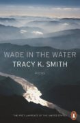 wade in the water (ebook)-tracy k. smith-9780141987859 wade in the water (ebook)-tracy k. smith-9780141987859