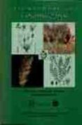 principales especies pascicolas de las zonas templadas-francisco buendia lazaro-9788471148759 principales especies pascicolas de las zonas templadas-francisco buendia lazaro-9788471148759