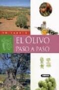el olivo paso a paso (tu jardin)-9788430560479 el olivo paso a paso (tu jardin)-9788430560479