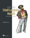 Descargas gratuitas de libros kindle DOMAIN-SPECIFIC SMALL LANGUAGE MODELS in Spanish