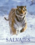 salvajes (ed. bilingüe español-ingles)-joaquin araujo-9788415888789 salvajes (ed. bilingüe español-ingles)-joaquin araujo-9788415888789
