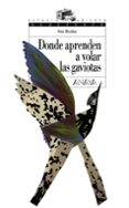 donde aprenden a volar las gaviotas-ana alcolea-9788466762489 donde aprenden a volar las gaviotas-ana alcolea-9788466762489