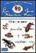 como preparar pescados y mariscos (escuela de cocina y de la bue na mesa; vol.3)-karlos arguiñano-juan mari arzak-9788483061589 como preparar pescados y mariscos (escuela de cocina y de la bue na mesa; vol.3) karlos arguiñano juan mari arzak 9788483061589