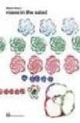 w4: roses in the salad-bruno munari-9788887942989 w4: roses in the salad-bruno munari-9788887942989