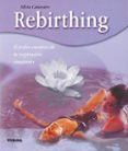 rebirthing; el poder curativo de la respiracion consciente-silvia canevaro-9788430544899 rebirthing; el poder curativo de la respiracion consciente-silvia canevaro-9788430544899