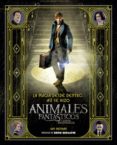 la magia desde dentro: asi se hizo animales fantasticos y donde encontrarlos-ian nathan-9788491390299 la magia desde dentro: asi se hizo animales fantasticos y donde encontrarlos-ian nathan-9788491390299