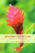 jengibre y cúrcuma-adolfo perez agusti-9788496319899 jengibre y cúrcuma-adolfo perez agusti-9788496319899