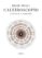 caleidoscopio (ebook)-brian nissen-9786073160209 caleidoscopio (ebook) brian nissen 9786073160209