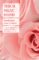 enseñanzas sobre el amor-thich nhat hanh-9788408196419 enseñanzas sobre el amor thich nhat hanh 9788408196419