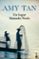 un lugar llamado nada-amy tan-9788408196549 un lugar llamado nada amy tan 9788408196549