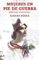 mujeres en pie de guerra (ebook)-susana koska-9788490698969 mujeres en pie de guerra (ebook) susana koska 9788490698969