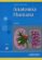 anatomia humana (tomo 2)-michel latarjet-alfredo ruiz liard-9789500613699 anatomia humana (tomo 2) michel latarjet alfredo ruiz liard 9789500613699