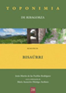 Descargar el libro de texto japonés pdf MUNICIPIO DE BISAURRI 