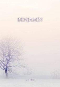 Descargar libro en linea pdf BENJAMIN (Literatura española) de JUAN ANTONIO GALIPIENSO MAS