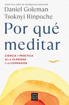 Descargar ebooks gratis para ipad POR QUE MEDITAR (Literatura española) de DANIEL GOLEMAN