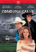 como uña y carne (dvd)-8414906409911 como uña y carne (dvd)-8414906409911