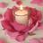 rosa-laura95 rosa-laura95